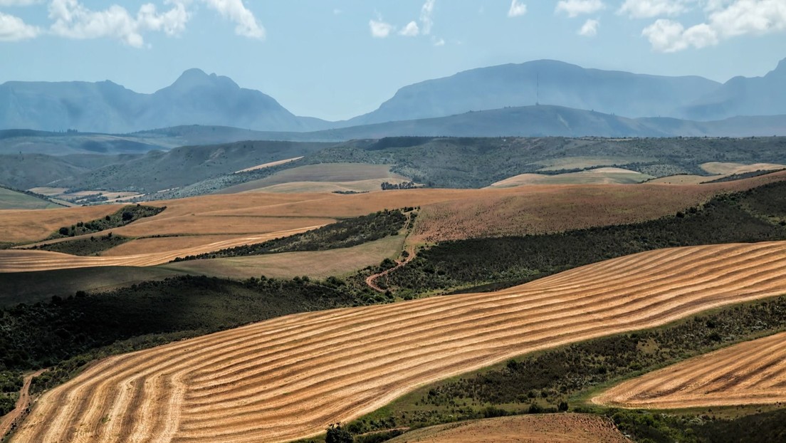 Crean un mapa que reubicará las tierras de cultivo y retrocederá el reloj veinte años en emisiones de carbono