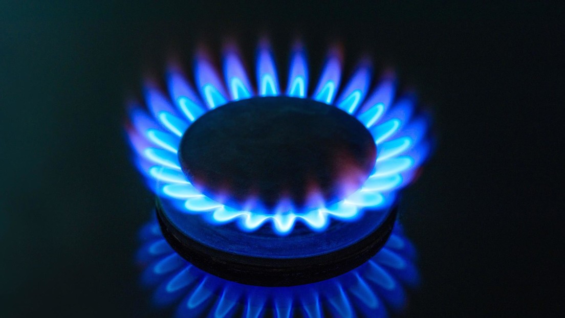 Alemania acuerda una "asociación energética a largo plazo" con Catar: ¿podría el país árabe reemplazar el gas ruso?