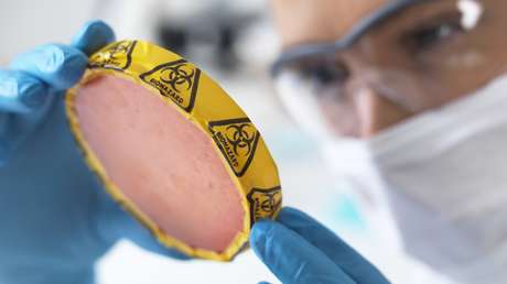 El Pentágono niega que EE.UU. esté desarrollando armas biológicas o químicas en laboratorios de Ucrania