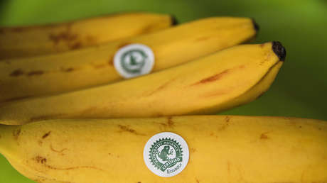 Barricadas con banano en carreteras y más de un millón de cajas sin vender: cómo las sanciones a Rusia afectan las exportaciones de plátano de Ecuador