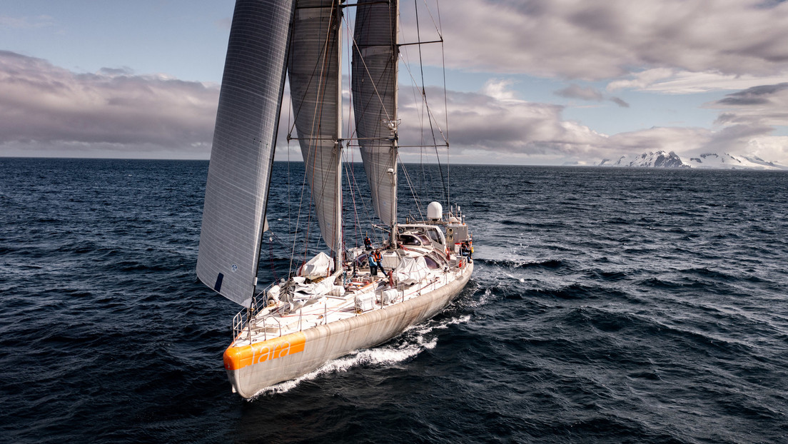 Identifican en el océano más de 5.500 virus nuevos, incluido un eslabón faltante en la evolución