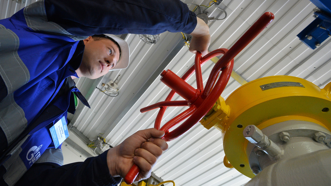 Un "tiro en la cabeza" para la economía europea: ¿sería posible una prohibición total de los suministros energéticos rusos?