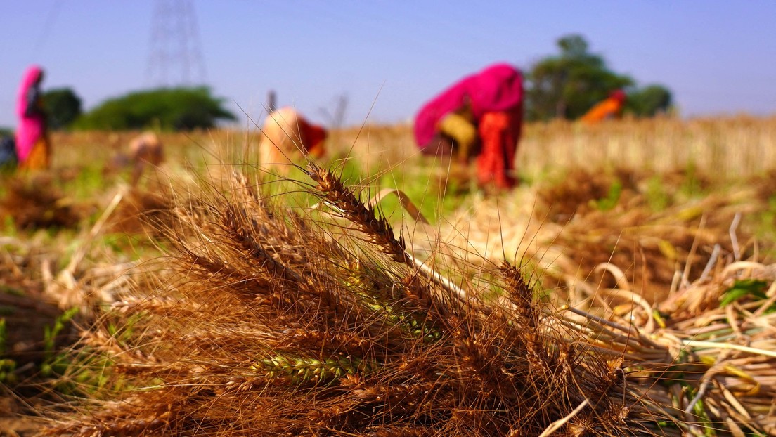 CNBC: La crisis en Ucrania podría desestabilizar Oriente Medio
