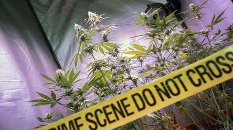 Descubren en Israel un túnel subterráneo que conducía a una plantación de cannabis