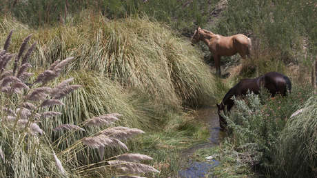Bolivia pide a la Corte Internacional de Justicia que reconozca su soberanía sobre las aguas del río Silala