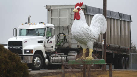Millones de aves sacrificadas y cadenas de suministro rotas: el precio de los huevos se dispara por la gripe aviar y la crisis ucraniana