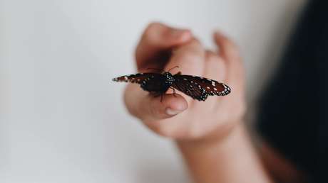 Eliminan por primera vez las consecuencias de una falla genética en una paciente con la enfermedad de la 'piel de mariposa'