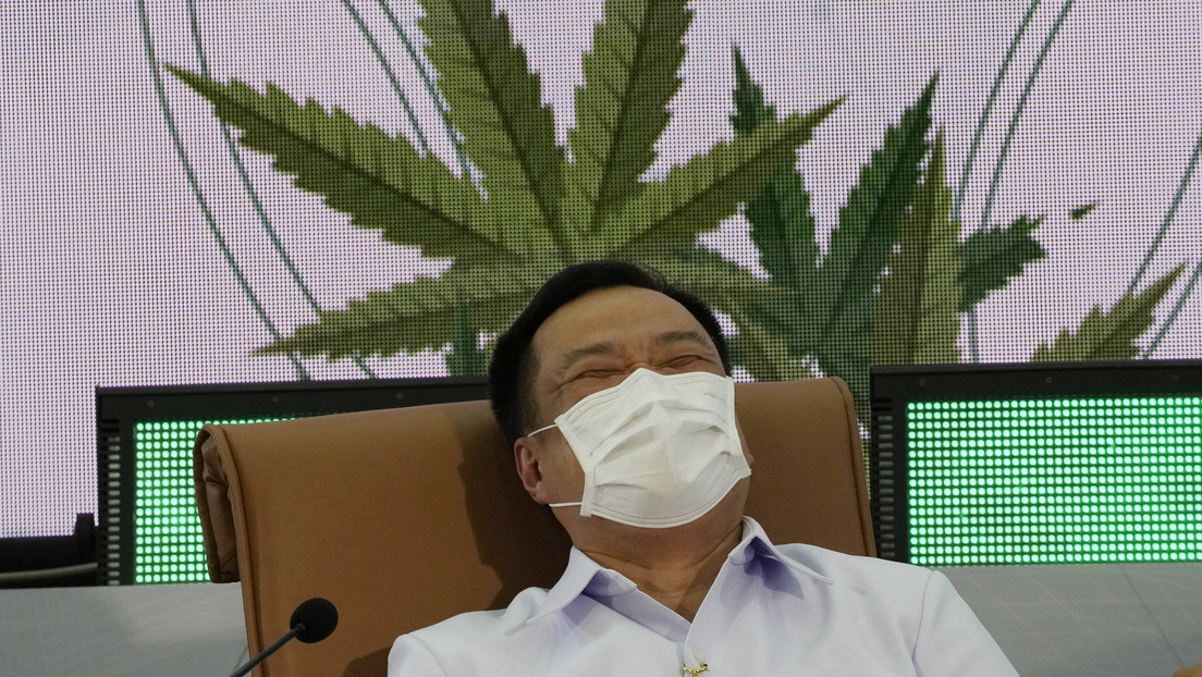 Tailandia repartirá gratis un millón de plantas de cannabis, pero pone una condición