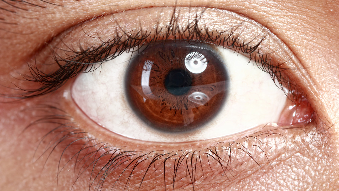 La ciencia logra revivir células fotosensibles en ojos de donantes de órganos fallecidos