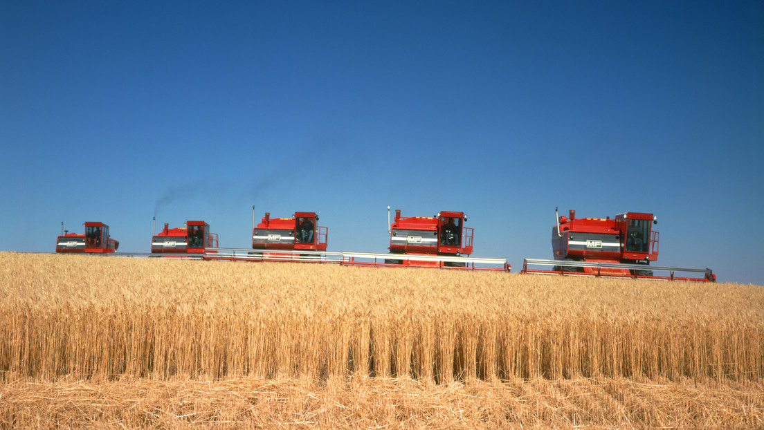 Economista alemán sobre el alza de precios alimenticios: "Todo está determinado por decisiones políticas y sanciones absurdas e innecesarias"