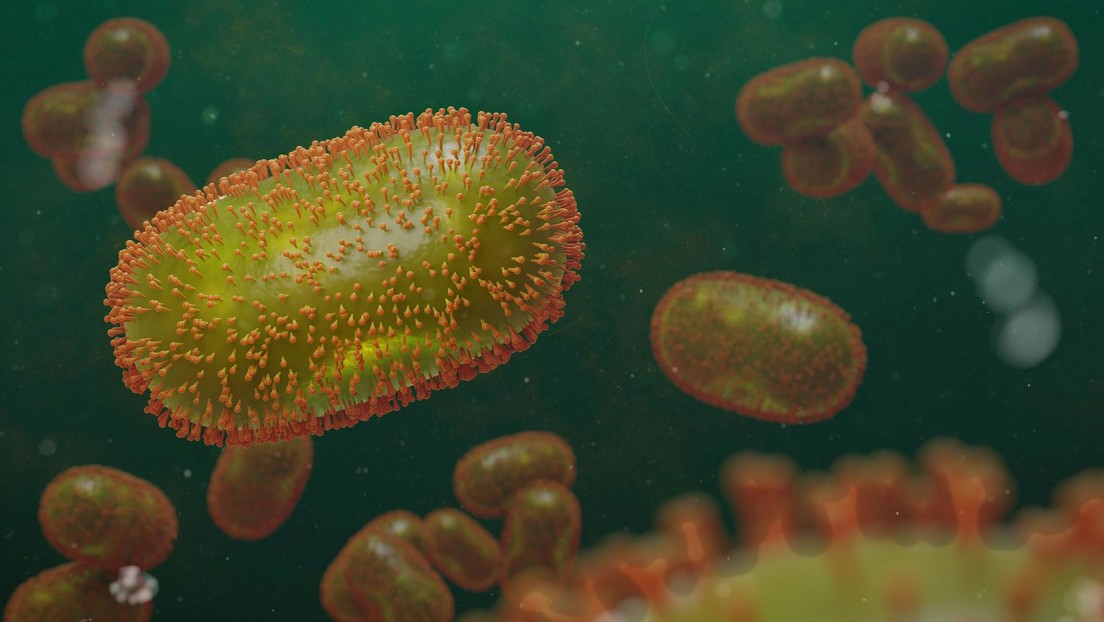 La OMS: El actual brote de viruela del mono podría ser "la punta del iceberg"