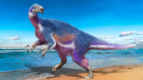 Científicos japoneses descubren un nuevo taxón de terizinosaurio (FOTOS)