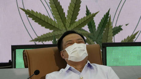 Tailandia repartirá gratis un millón de plantas de cannabis, pero pone una condición