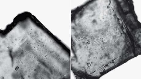 Encuentran microbios de hace 830 millones de años que podrían estar vivos