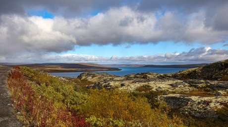 La tundra siberiana podría desaparecer para mediados del milenio sino se mitiga el cambio climático