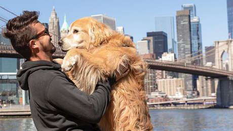 Un reconocido 'influencer' brasileño y su perro mueren en un accidente en EE.UU. antes de completar su 'viaje soñado'