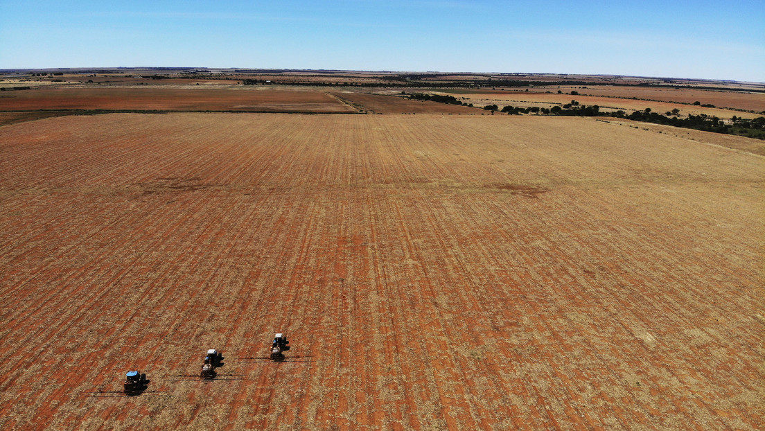 El presidente de la Unión Africana insta a levantar las sanciones sobre el trigo y los fertilizantes rusos