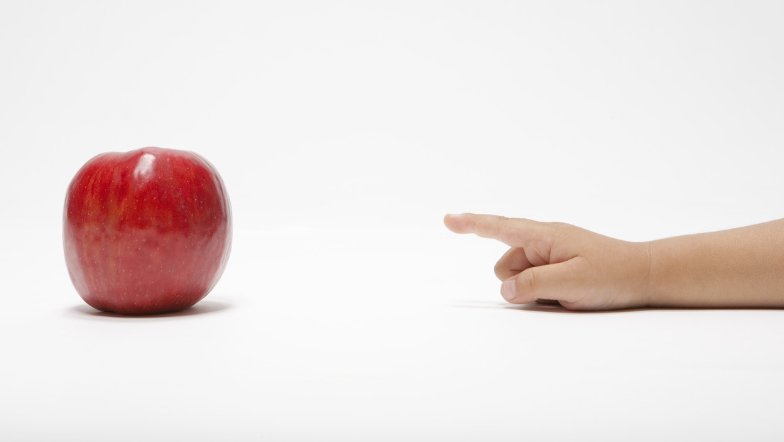 Científicos descubren que la simple exposición a cosas nuevas hace que las personas estén "listas para aprender"