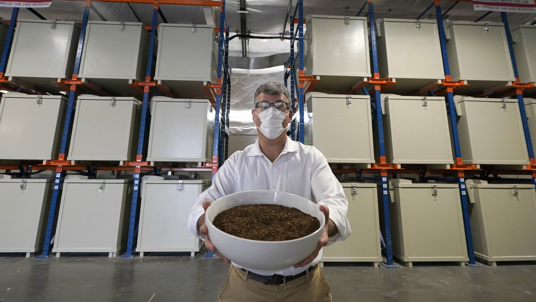 'Polvo eres... y en abono te convertirás': el estado de Nueva York avanza para legalizar la conversión de cadáveres en fertilizante