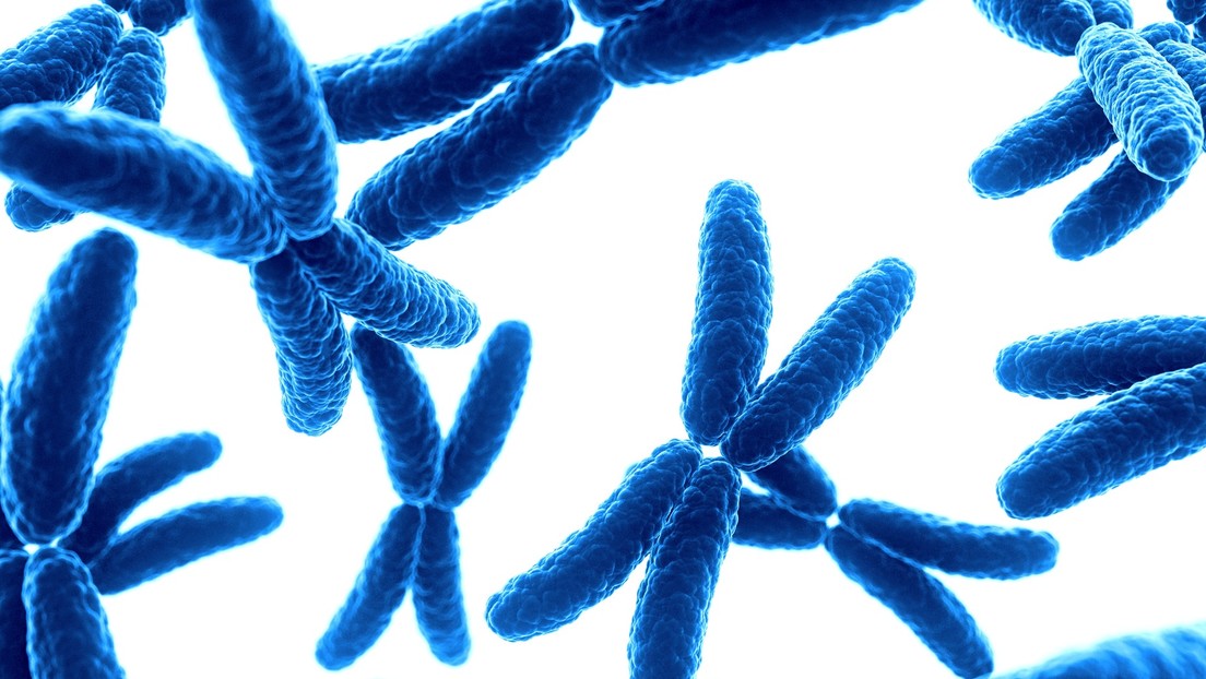 Estudio: Uno de cada 500 hombres tiene un cromosoma sexual adicional que eleva el riesgo de sufrir problemas de salud (pero casi nadie lo sabe)