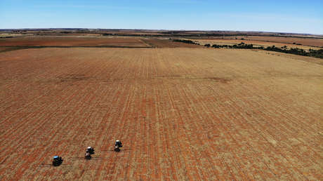 El presidente de la Unión Africana insta a levantar las sanciones sobre el trigo y los fertilizantes rusos