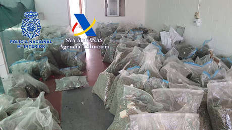 Desarticulan en España una red de narcotráfico internacional vinculada al Cártel de Sinaloa (FOTOS y VIDEO)