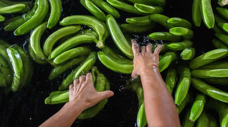 Productores bananeros convocan una nueva jornada de protestas en Ecuador