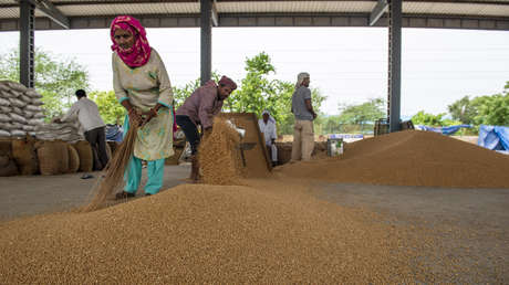 La ONU advierte que los países vulnerables pagan ahora más por menos alimentos