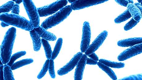 Estudio: Uno de cada 500 hombres tiene un cromosoma sexual adicional que eleva el riesgo de sufrir problemas de salud (pero casi nadie lo sabe)