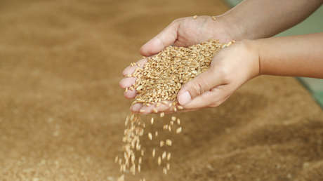 La Casa Blanca: EE.UU. no sancionará a los países que importen grano ruso