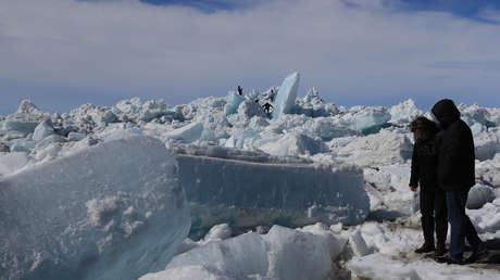 Encuentran en el Ártico microbios nunca antes identificados que viven en condiciones 'marcianas'