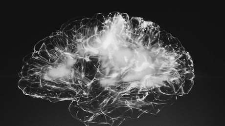 Descubren que las partículas tóxicas del aire inhaladas pueden pasar del pulmón al cerebro y causar daños neurológicos