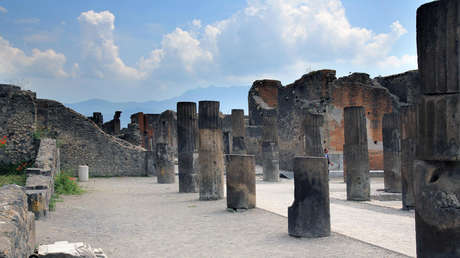 Hallan una tortuga preñada durante las excavaciones en Pompeya (FOTOS)