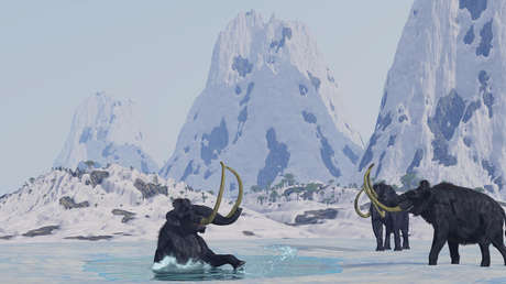 Hallan en Canadá una cría momificada "casi completa" de mamut lanudo de hace más de 30.000 años (FOTOS)