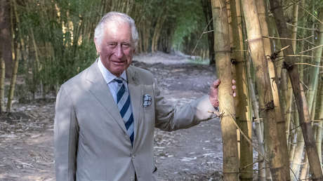 El príncipe Carlos recibió 3 millones de euros en efectivo en bolsas de un político catarí