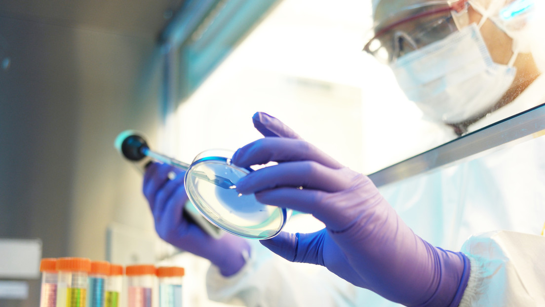 Detectan por primera vez en EE.UU. una rara bacteria capaz de causar una infección potencialmente mortal