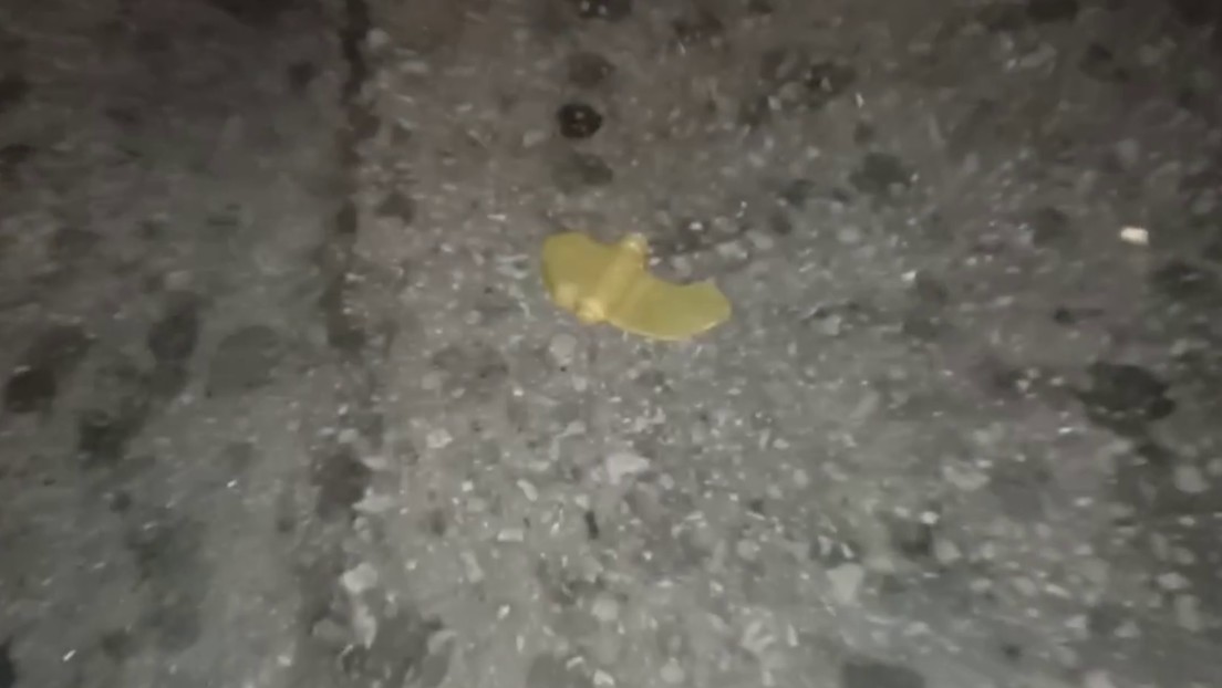 Ucrania lanza numerosas minas terrestres antipersonales prohibidas internacionalmente contra barrios poblados de Donetsk