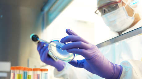 Detectan por primera vez en EE.UU. una rara bacteria capaz de causar una infección potencialmente mortal