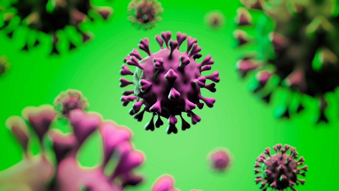 EE.UU. declara emergencia sanitaria nacional por el brote de viruela del mono