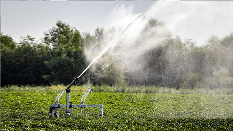 El obstáculo que enfrenta Occidente para aislar a Rusia de la economía mundial