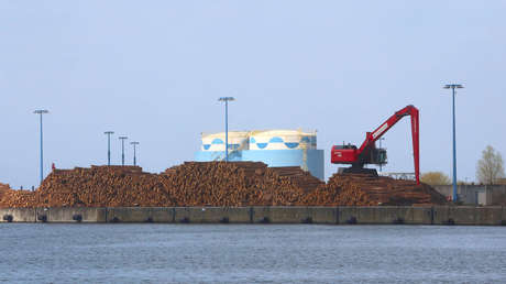 Bulgaria suspende las exportaciones de madera al triplicarse la demanda en el país