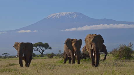 Subir a la montaña más alta de África sin perder la conexión a Internet ya es una realidad