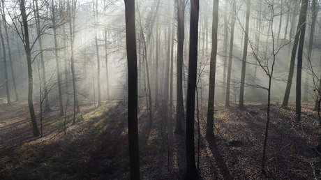 Rusia desarrolla un dron para "agotar al enemigo"