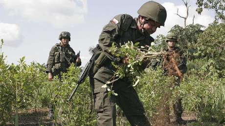 La Policía de Colombia suspende la erradicación forzada de cultivos de coca