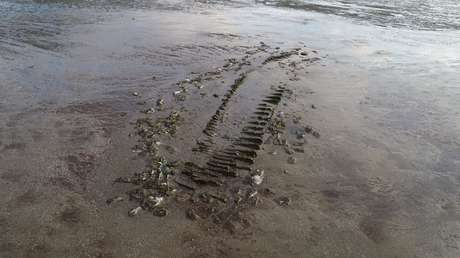 Identifican el origen de un barco hallado en las costas de Argentina que naufragó hace más de 150 años