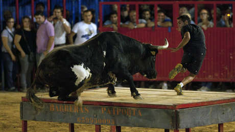 "Se ha perdido el miedo": registran en España un récord de muertes durante festejos taurinos