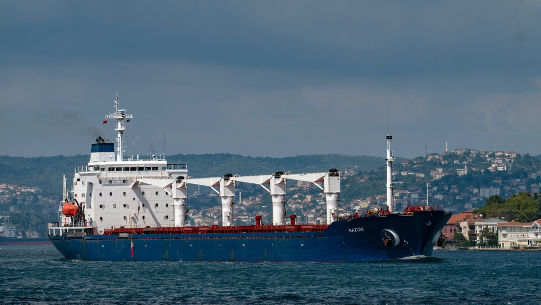 Putin: "Occidente engañó descaradamente a las naciones pobres con el acuerdo sobre el grano de Ucrania"