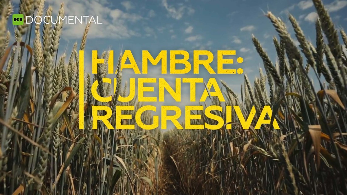 Hambre: cuenta regresiva
