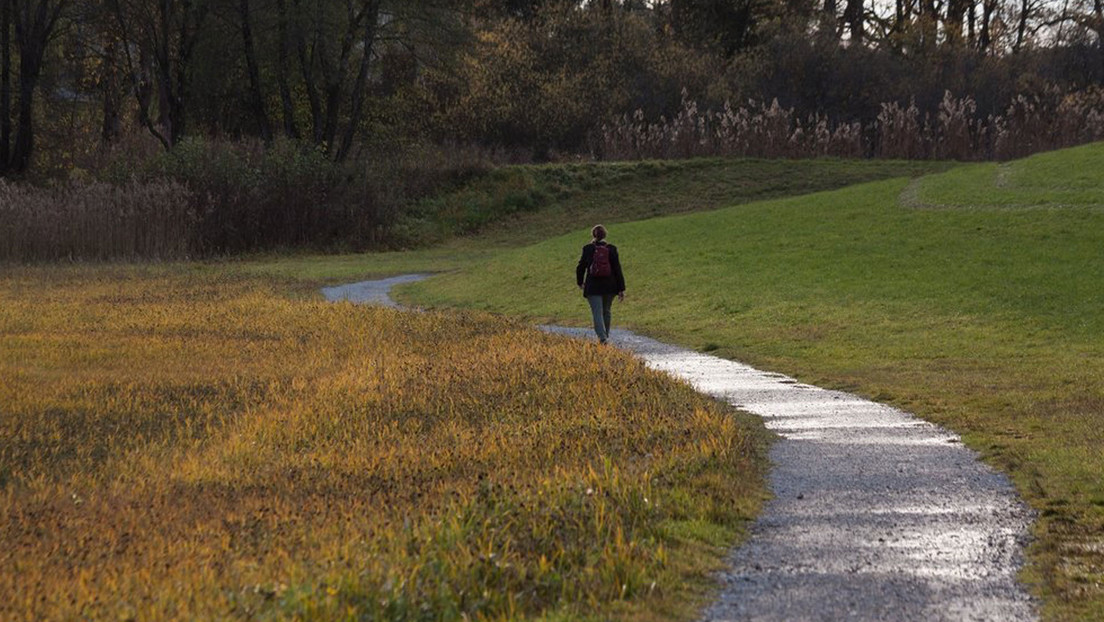 Científicos descubren por qué nuestro cerebro necesita de caminatas entre la naturaleza