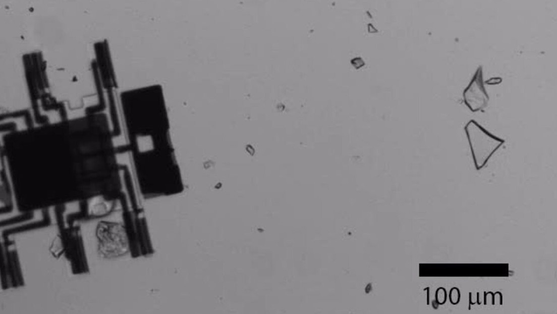 VIDEO: Microrobots solares con 'cerebros' caminan de forma autónoma